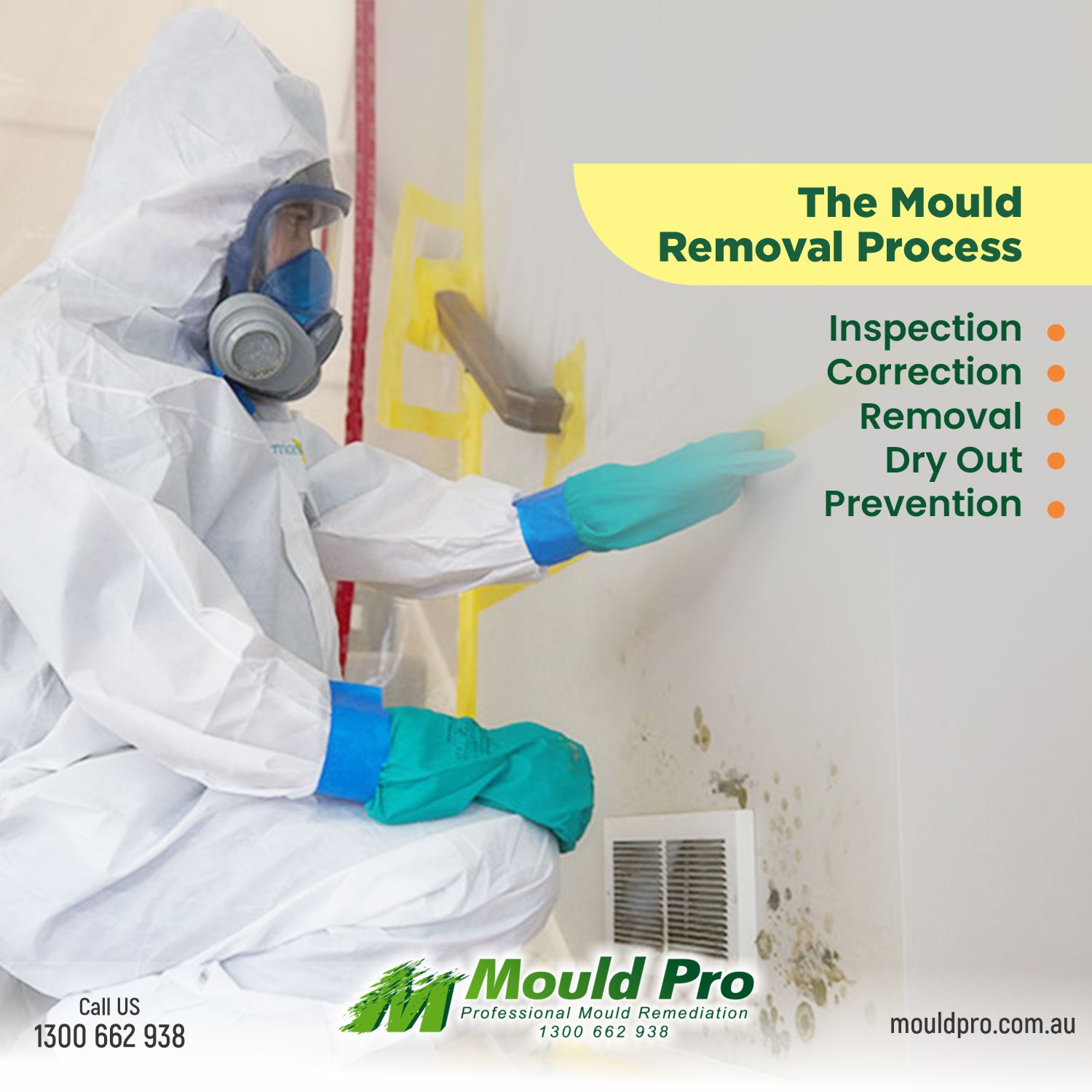 Our Mould removal Process