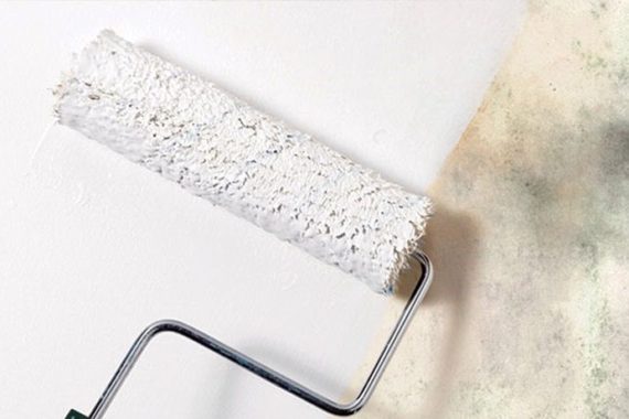 Improving The Air Quality Within Your Home