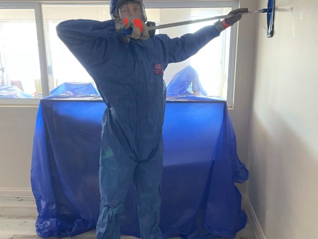 Cras tristique purus non lacus