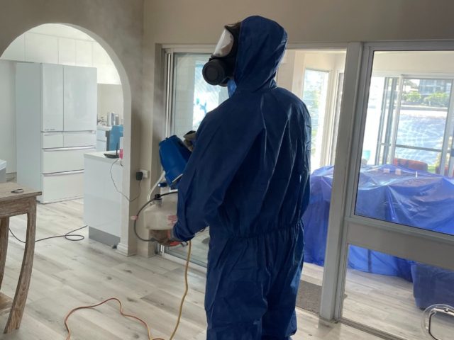 Quisque id maximus leo