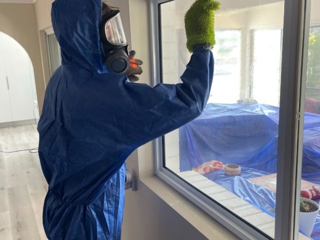 Duis fermentum felis