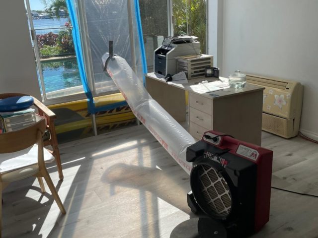 Aenean vitae enim rhoncus