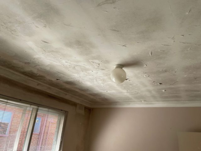 Mould Removal