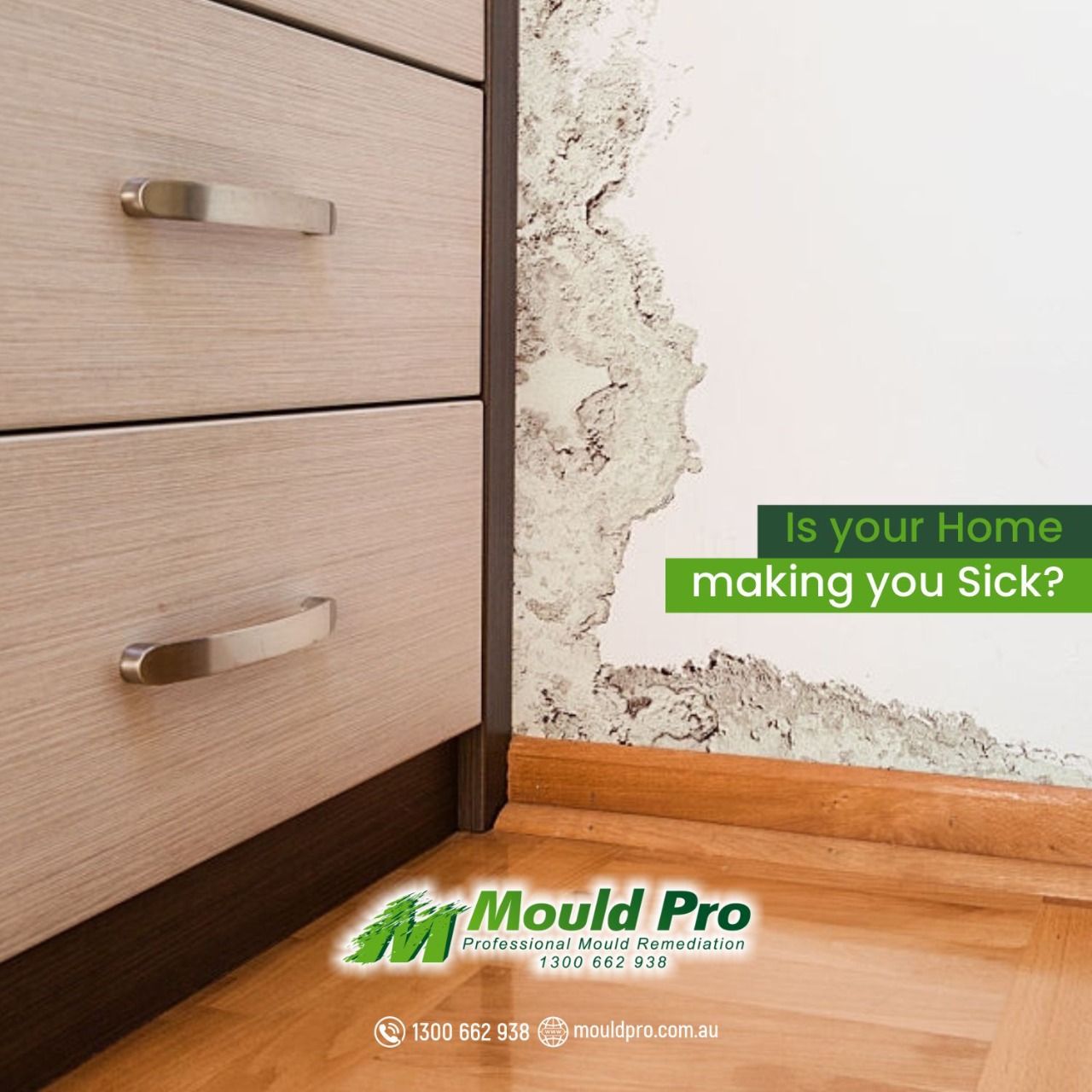 Why trust MouldPro for Mould Removal from your Sydney home or office?