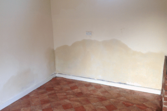 How Does Mould Grow?